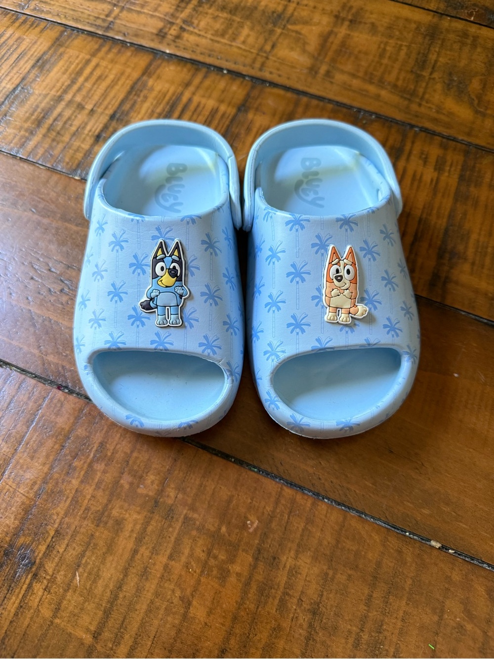 Bluey Girls Comfort Slides
